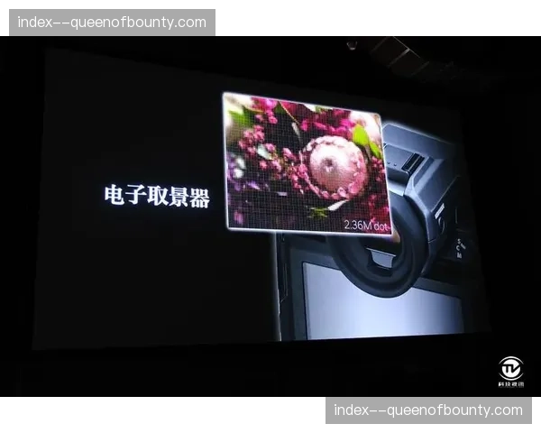 高帧率捕捉单元在现阶段成为标配，为深度画面分析提供了扎实的底层质量底座