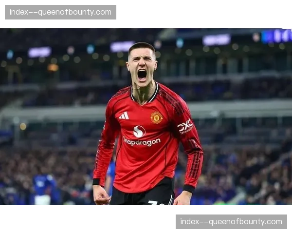 曼联客场1-0小胜埃弗顿，卡里克率队近6轮5胜1平连克强敌